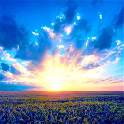 新乐动体育app下载官网